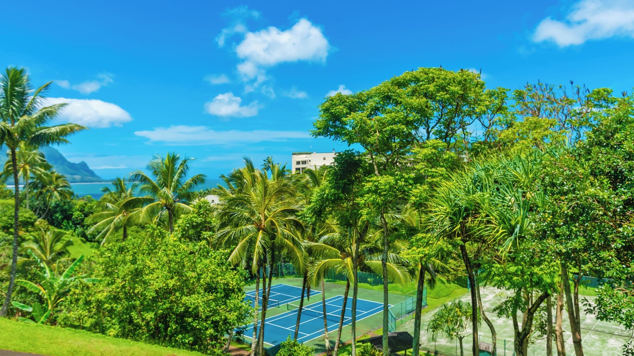 Photo of Others in Princeville