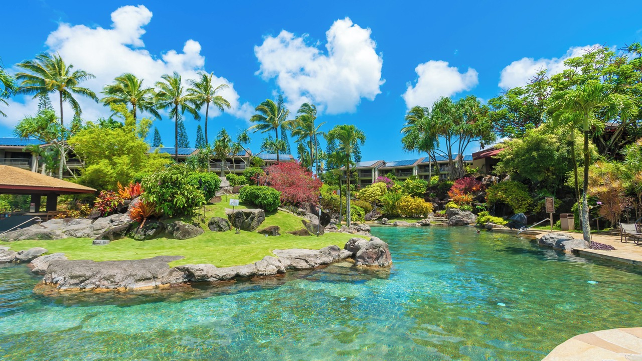 Photo of Outdoor in Princeville