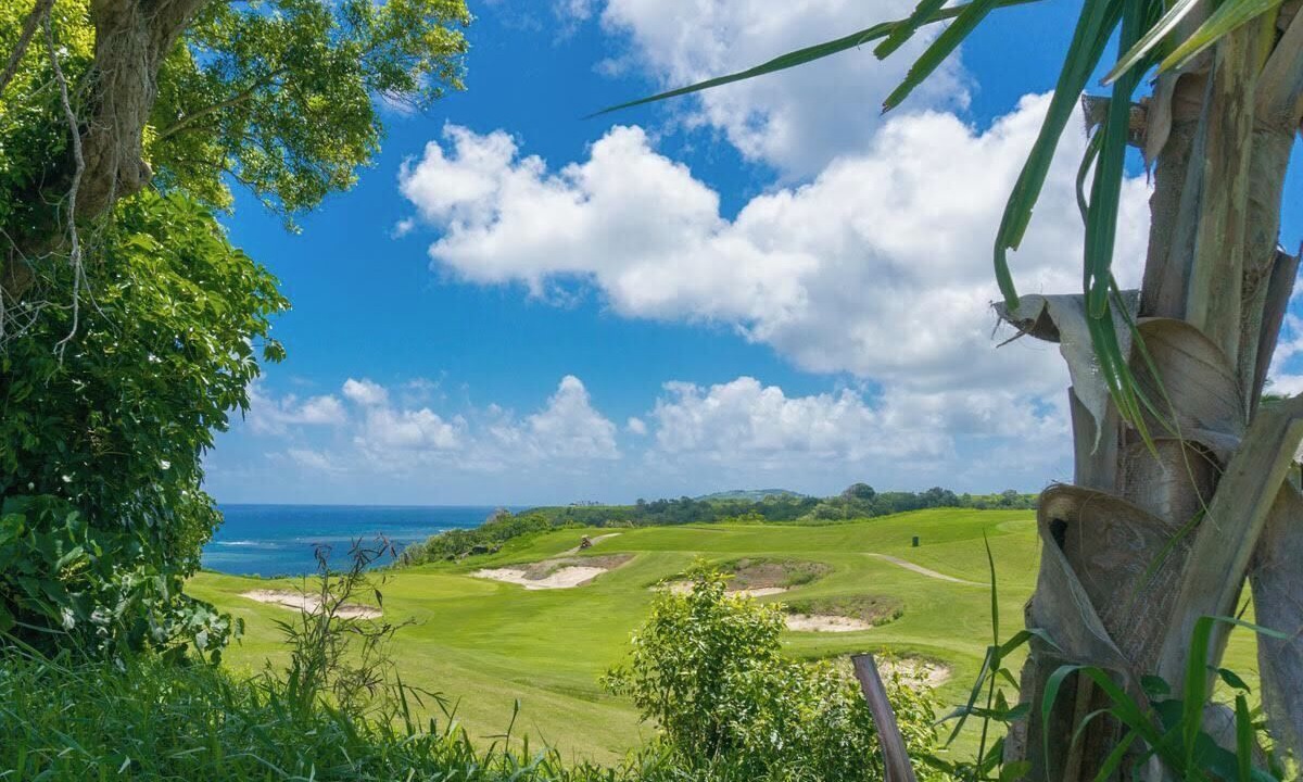 Photo of Others in Princeville