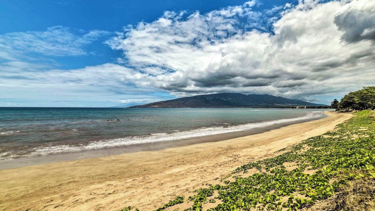 Photo of Others in Kihei