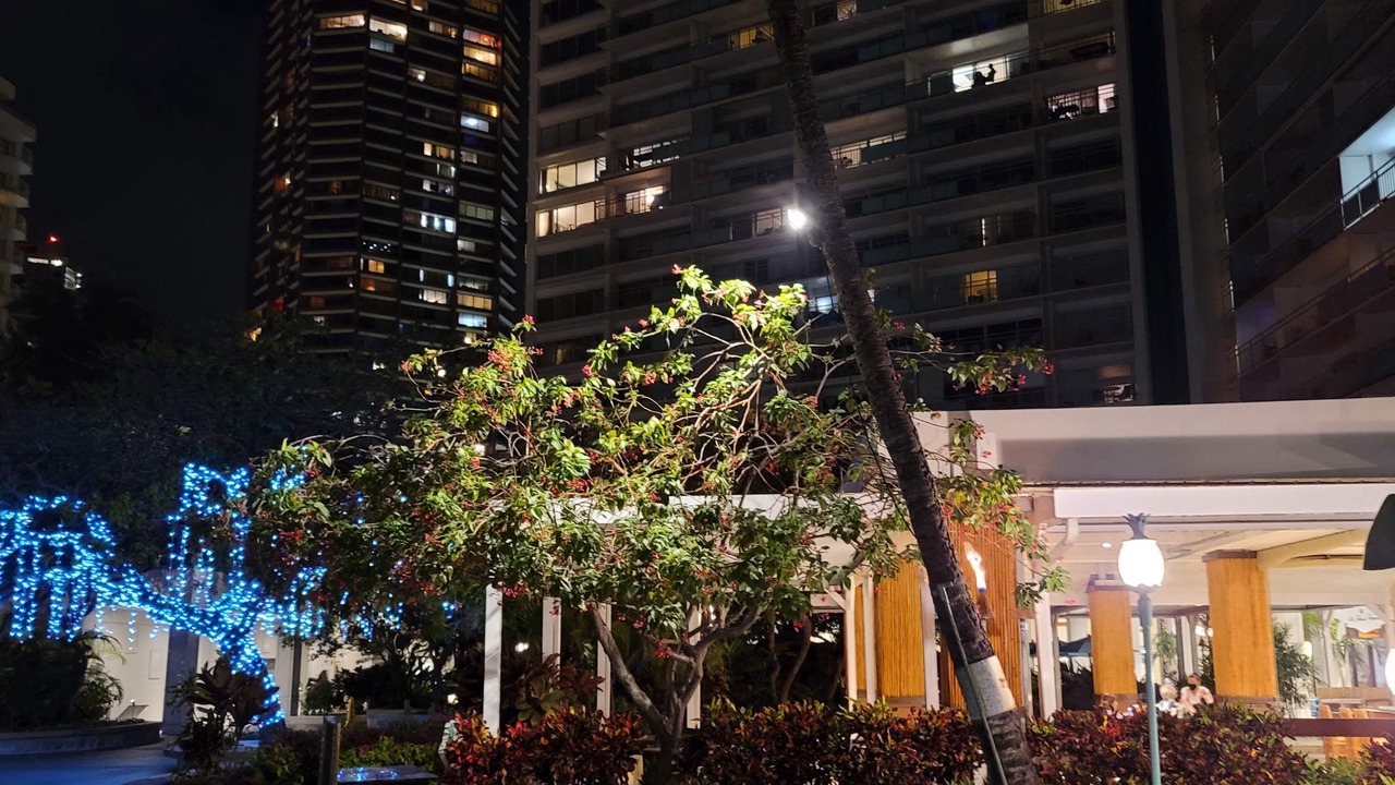 Photo of Outdoor in Waikiki