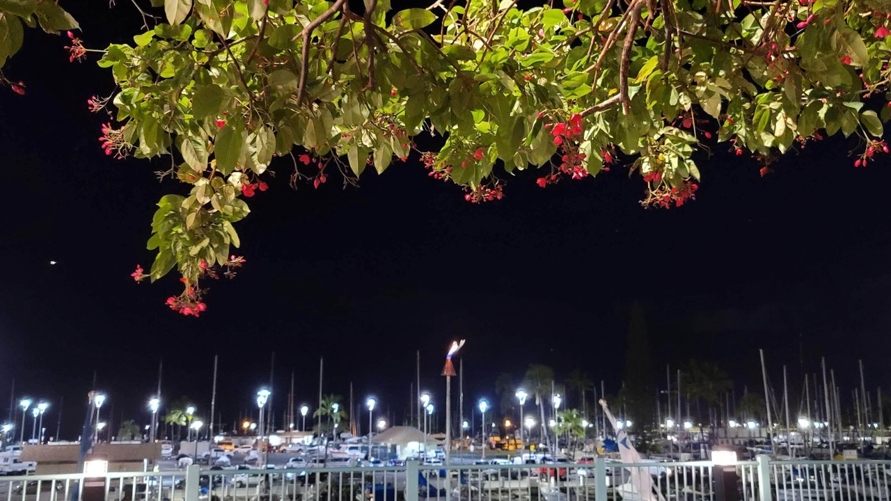 Photo of Outdoor in Waikiki