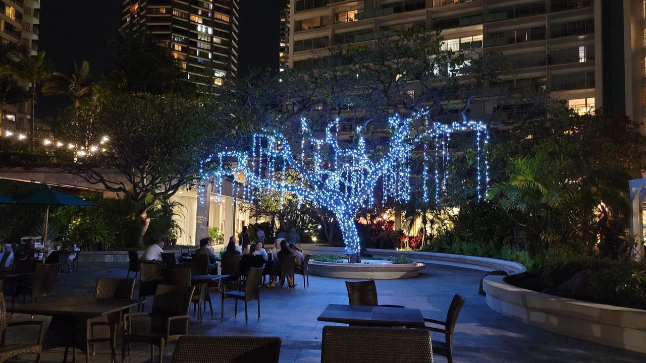 Photo of Outdoor in Waikiki