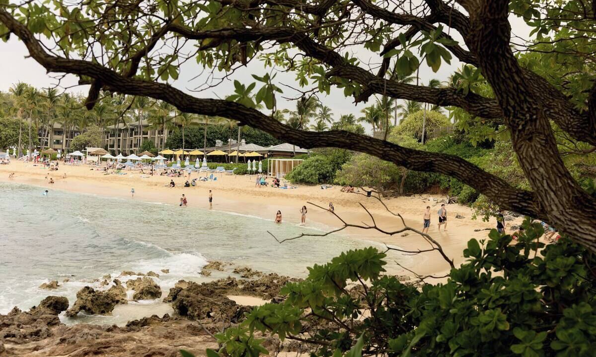 Photo of Others in Kahuku