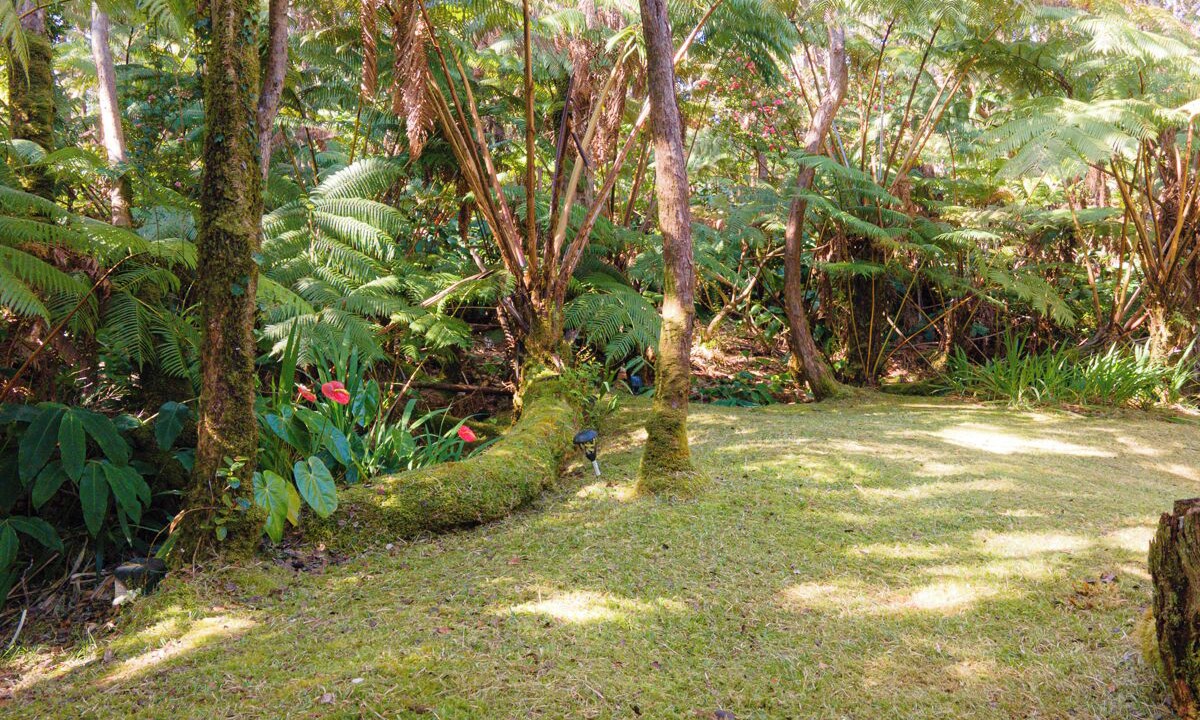 Photo of Outdoor in Volcano