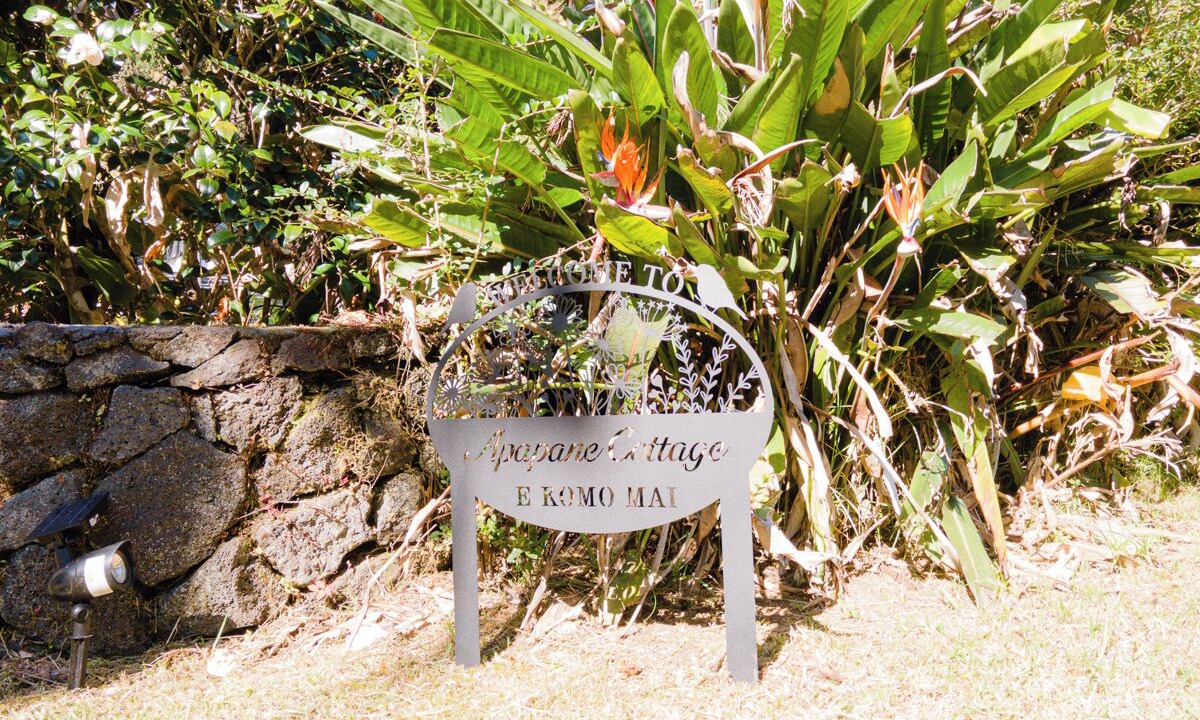 Photo of Outdoor in Volcano