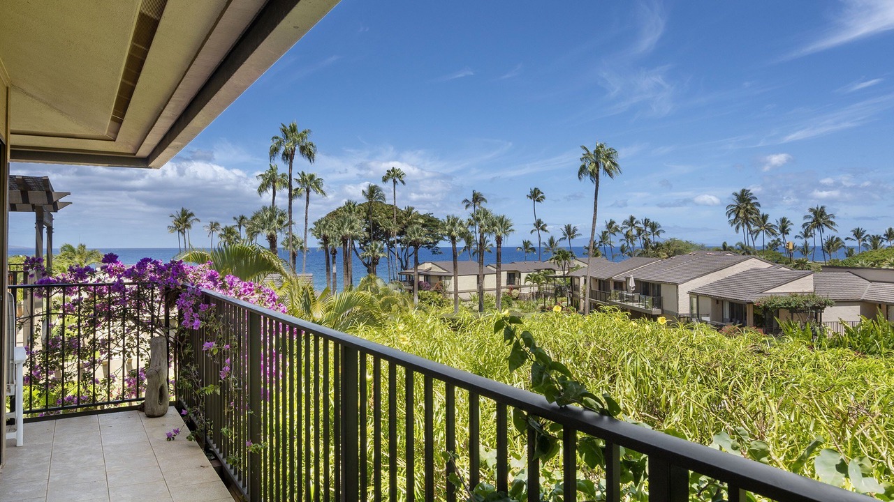 Photo of Outdoor in Wailea