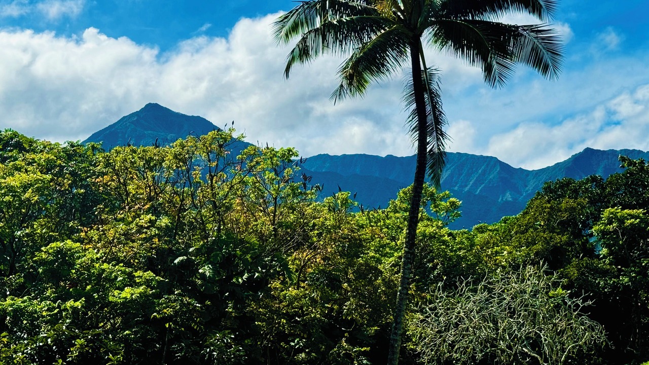 Photo of Others in Princeville