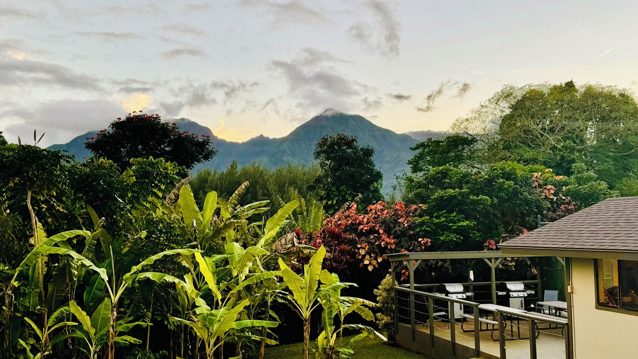 Photo of Others in Princeville