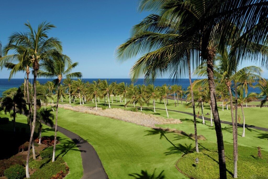 Photo of Others in Waikoloa