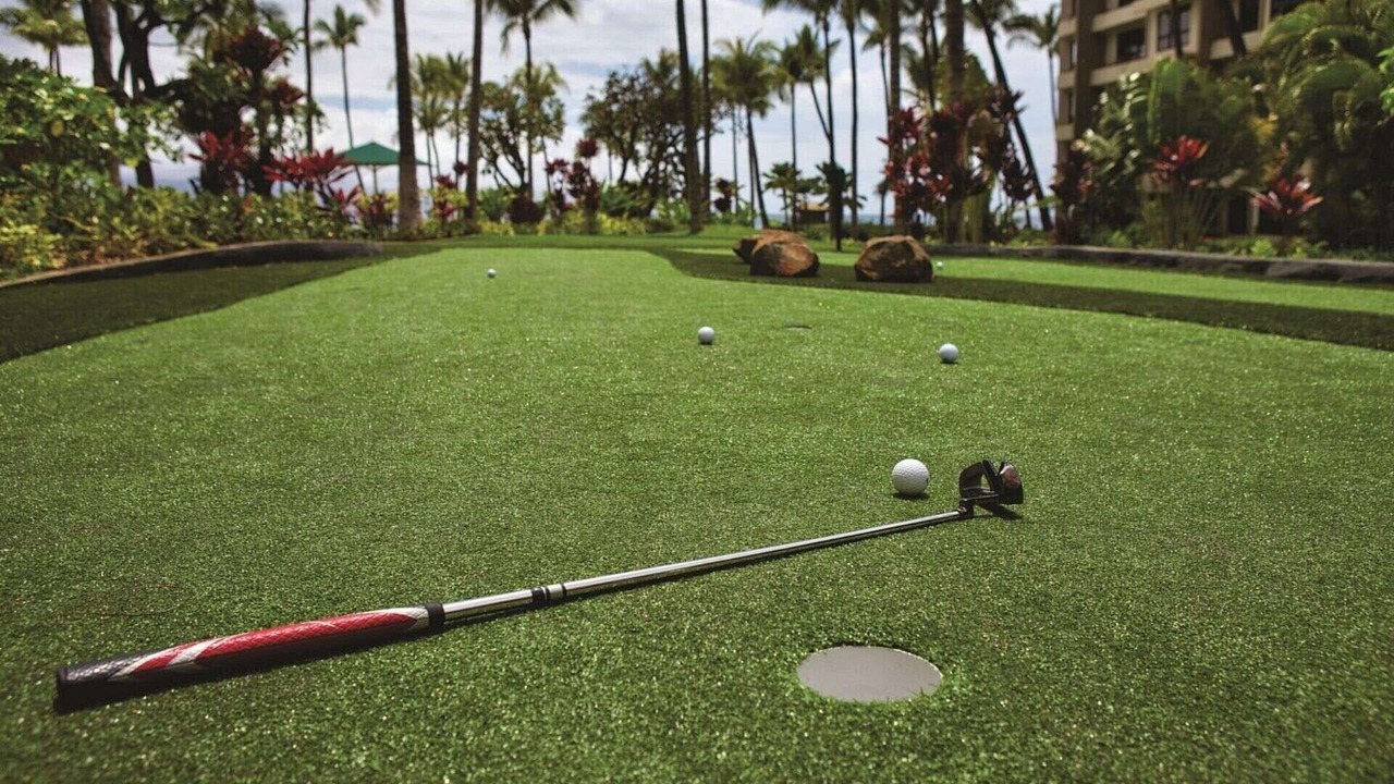 Photo of Others in Kaanapali