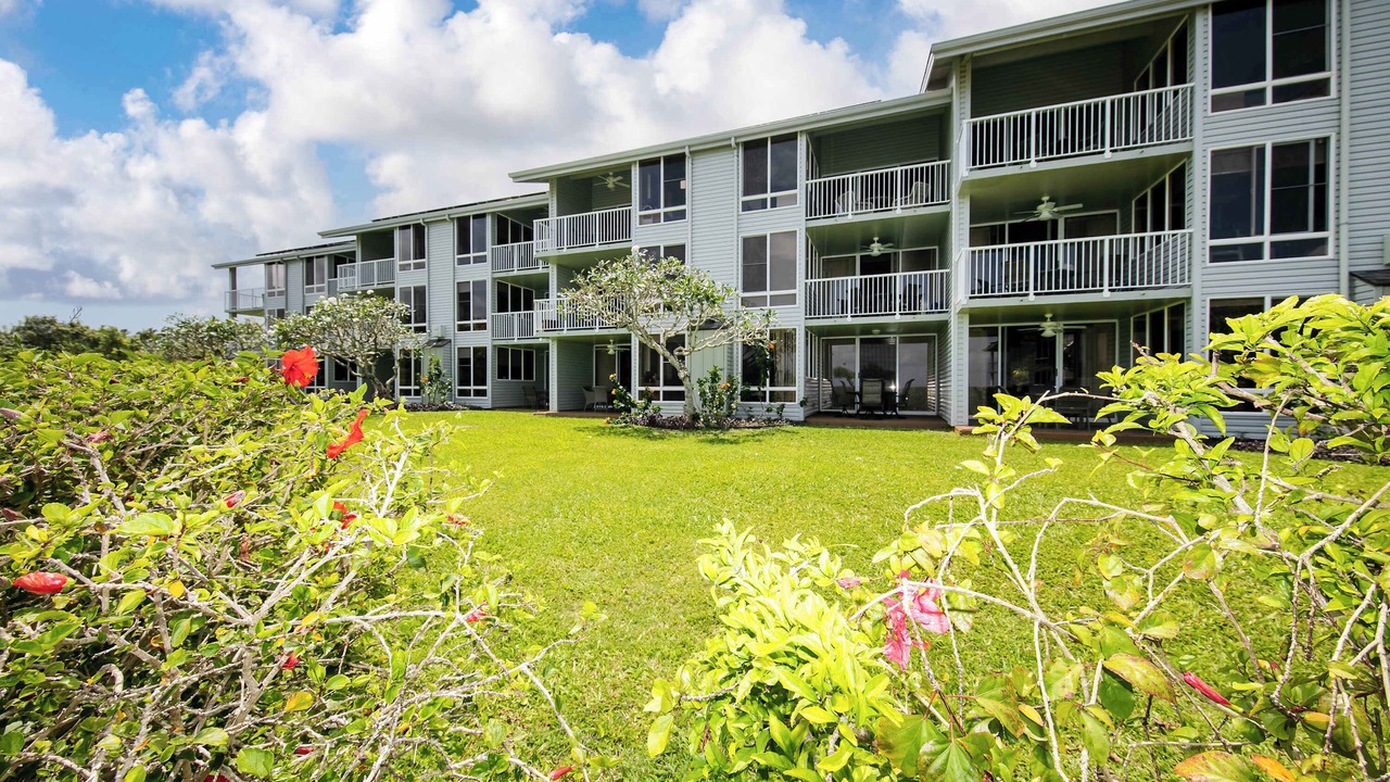 Photo of Outdoor in Princeville