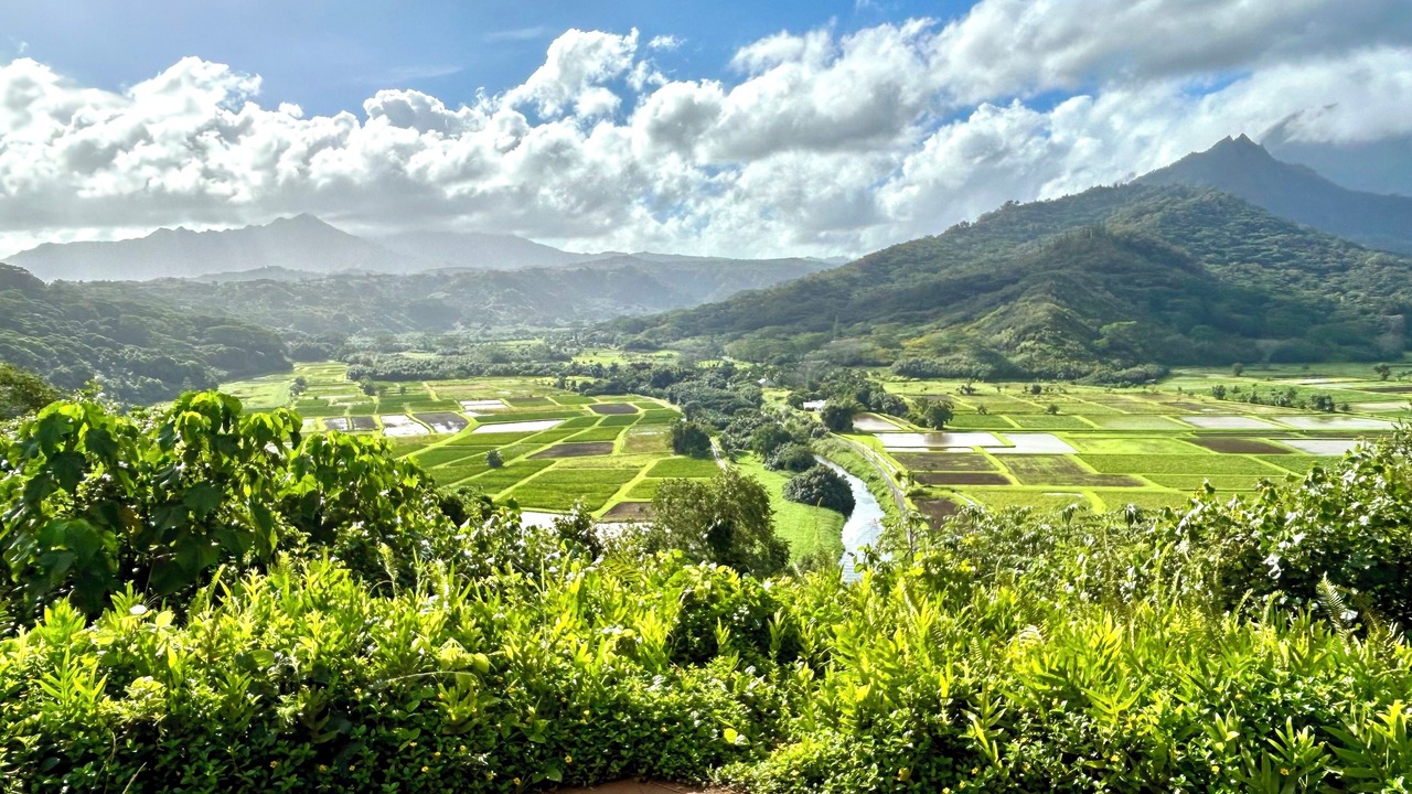 Photo of Others in Princeville