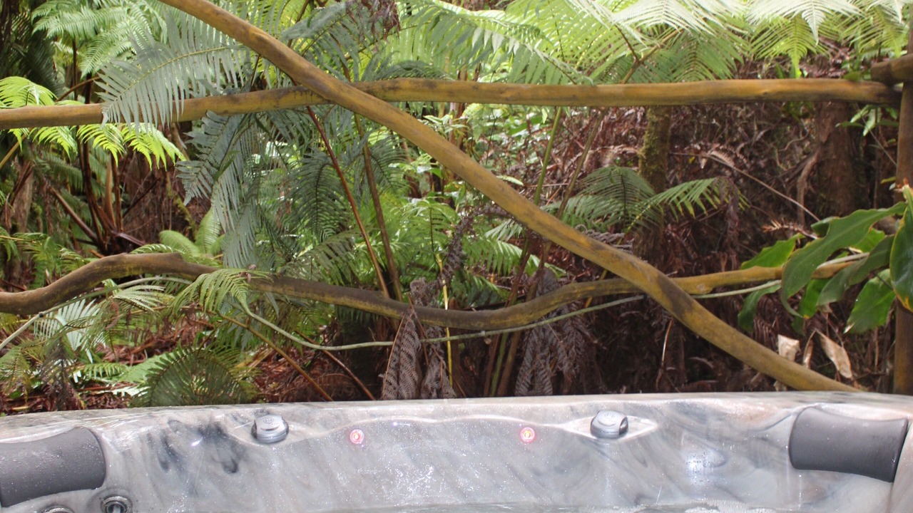 Photo of Outdoor in Volcano