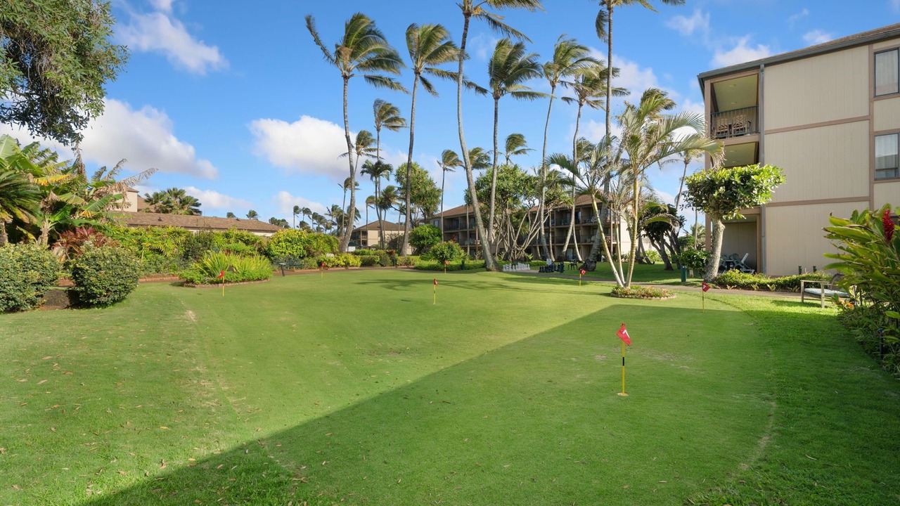 Photo of Outdoor in Kapaa