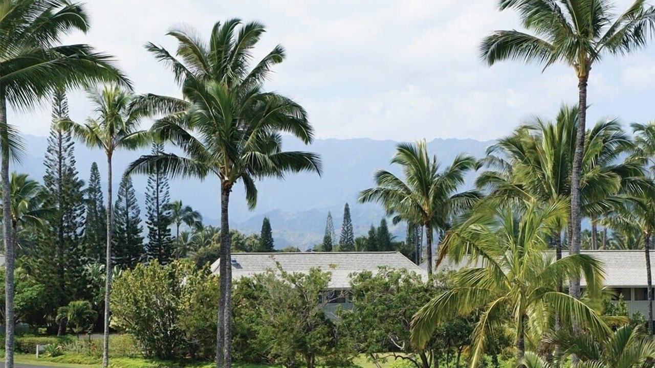 Photo of Outdoor in Princeville