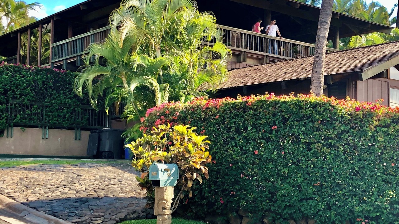 Photo of Outdoor in Kihei