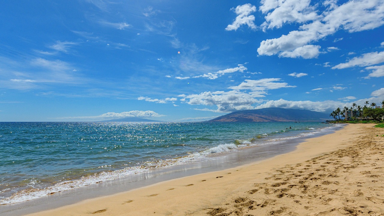 Photo of Others in Kihei