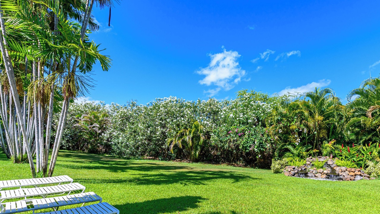 Photo of Outdoor in Kihei