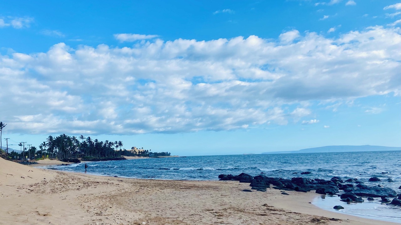 Photo of Others in Kihei