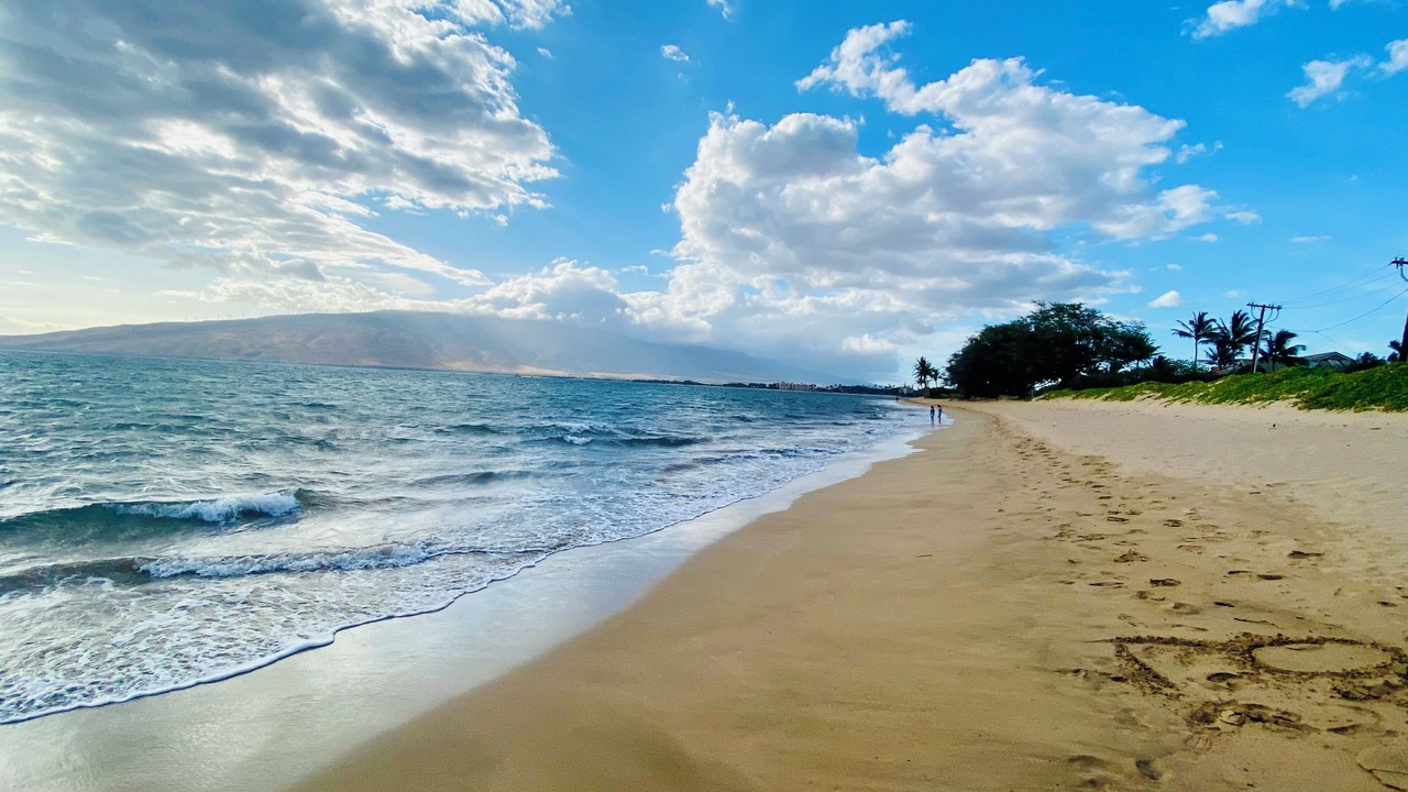 Photo of Others in Kihei