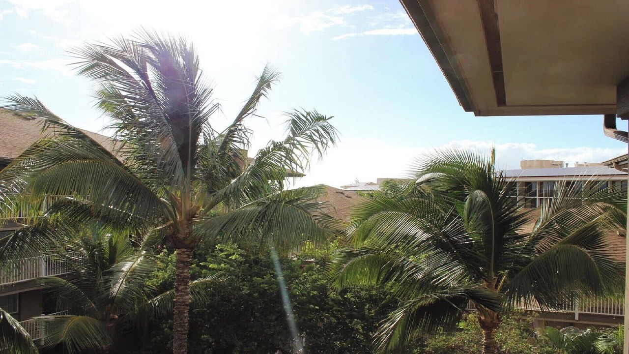 Photo of Outdoor in Kihei