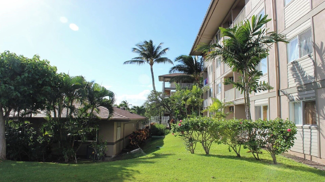 Photo of Outdoor in Kihei