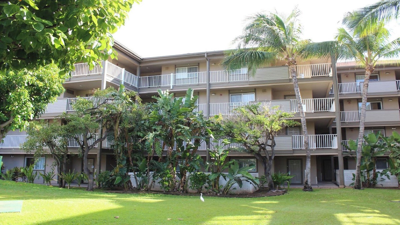Photo of Outdoor in Kihei