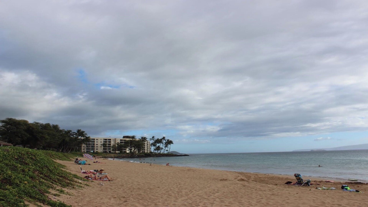 Photo of Others in Kihei