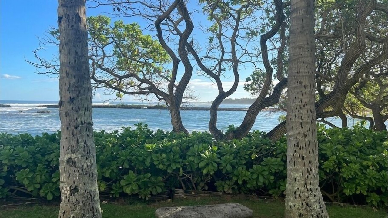 Photo of Others in Kahuku