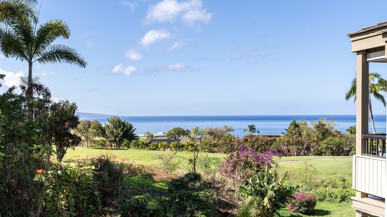 Photo of Outdoor in Wailea