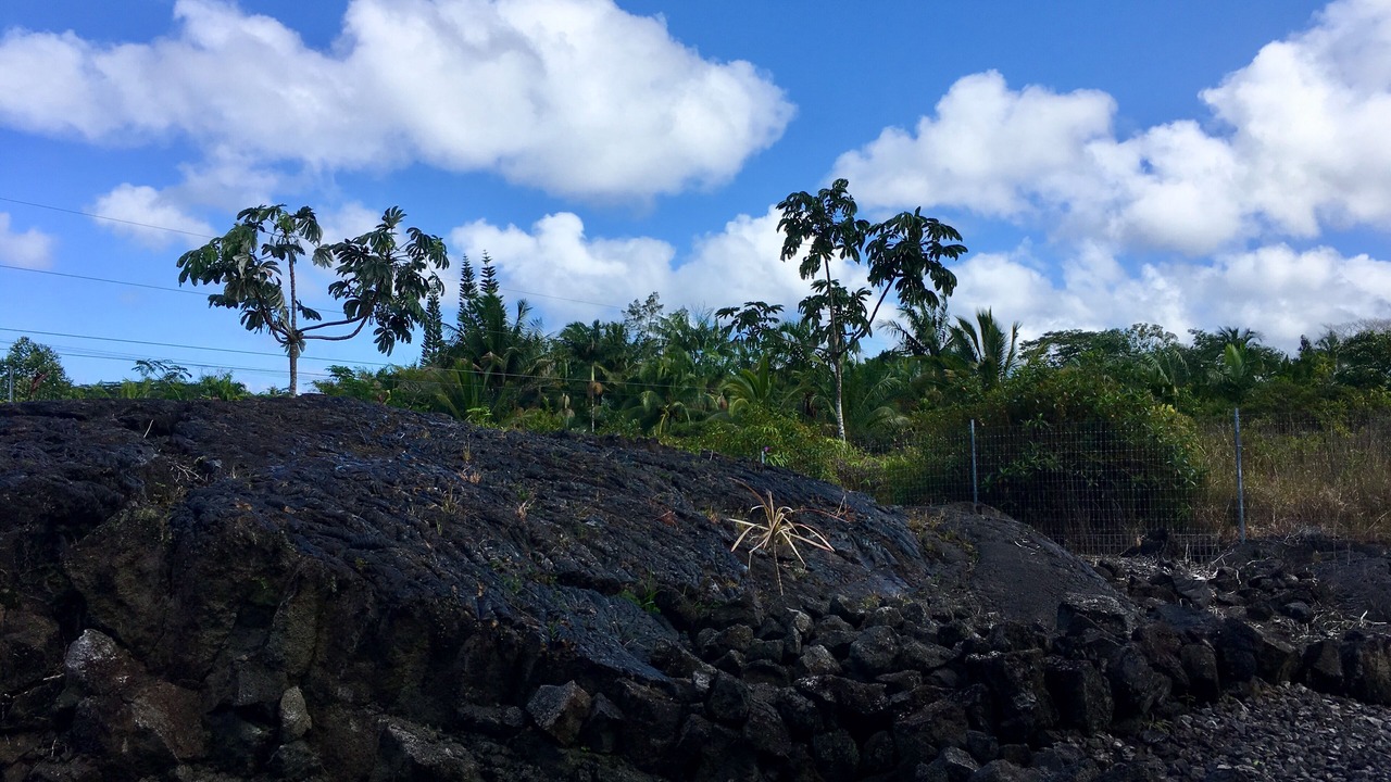 Photo of Others in Keaau