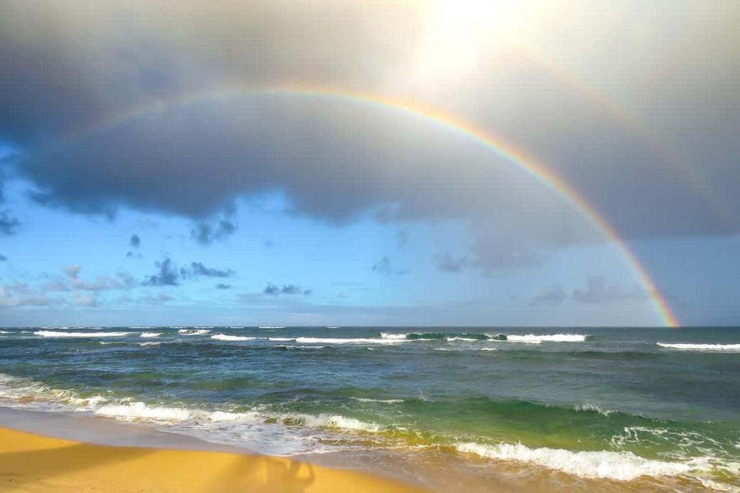 Photo of Others in Wailua