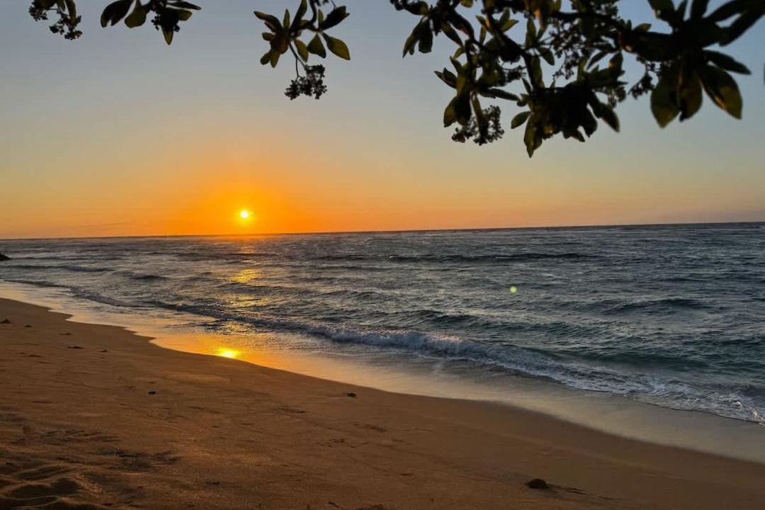 Photo of Others in Wailua