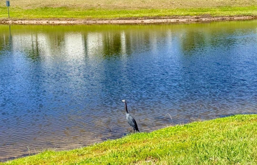 Photo of Others in West Kissimmee