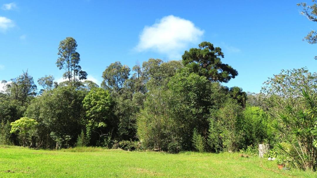Photo of Others in Honokaa