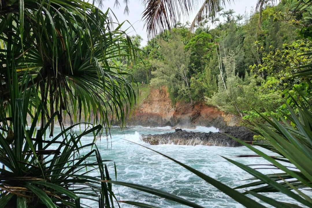 Photo of Others in Honokaa