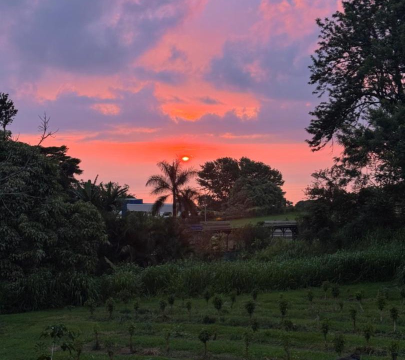 Photo of Others in Kealakekua