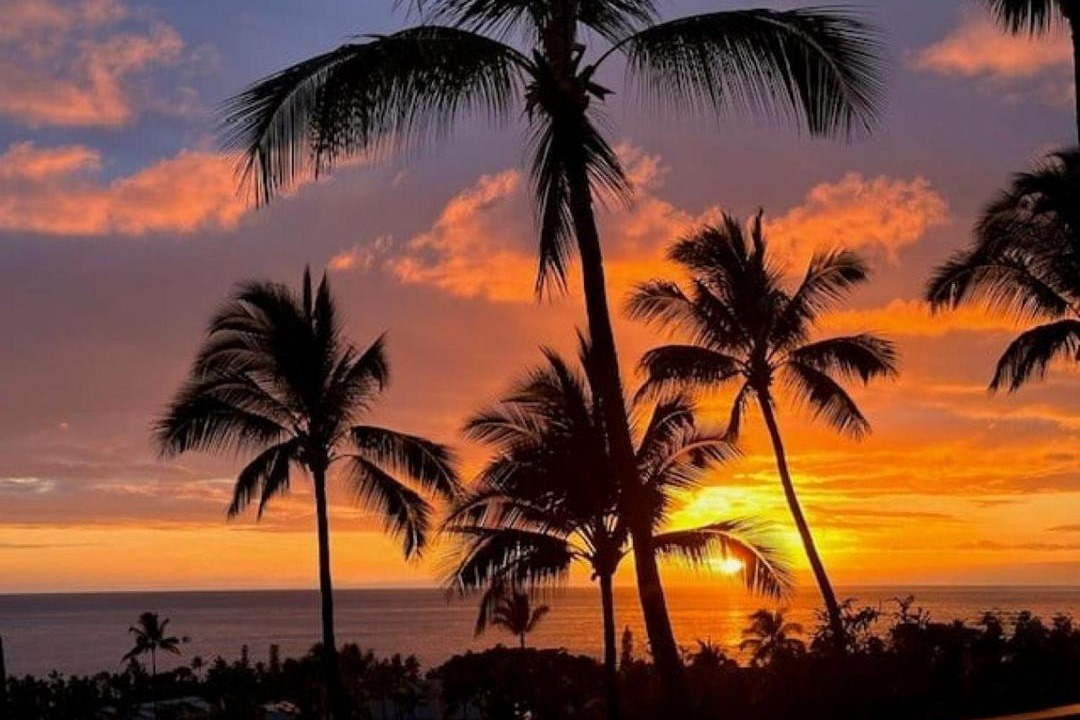 Photo of Others in Keauhou