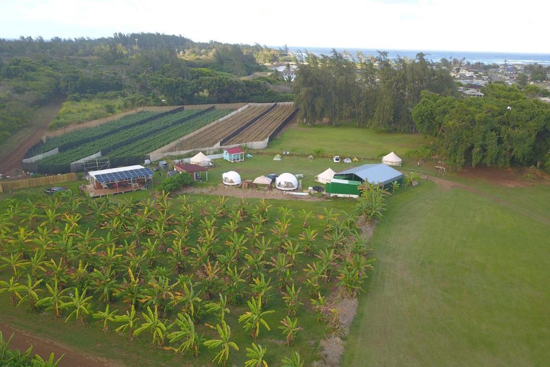 Photo of Others in Laie