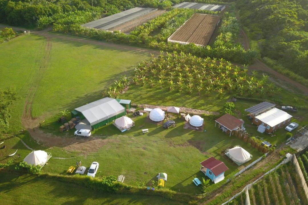 Photo of Others in Laie