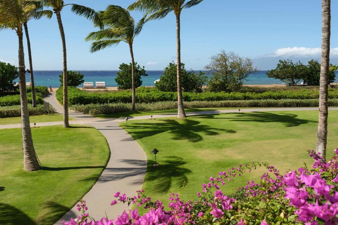 Photo of Others in Kaanapali