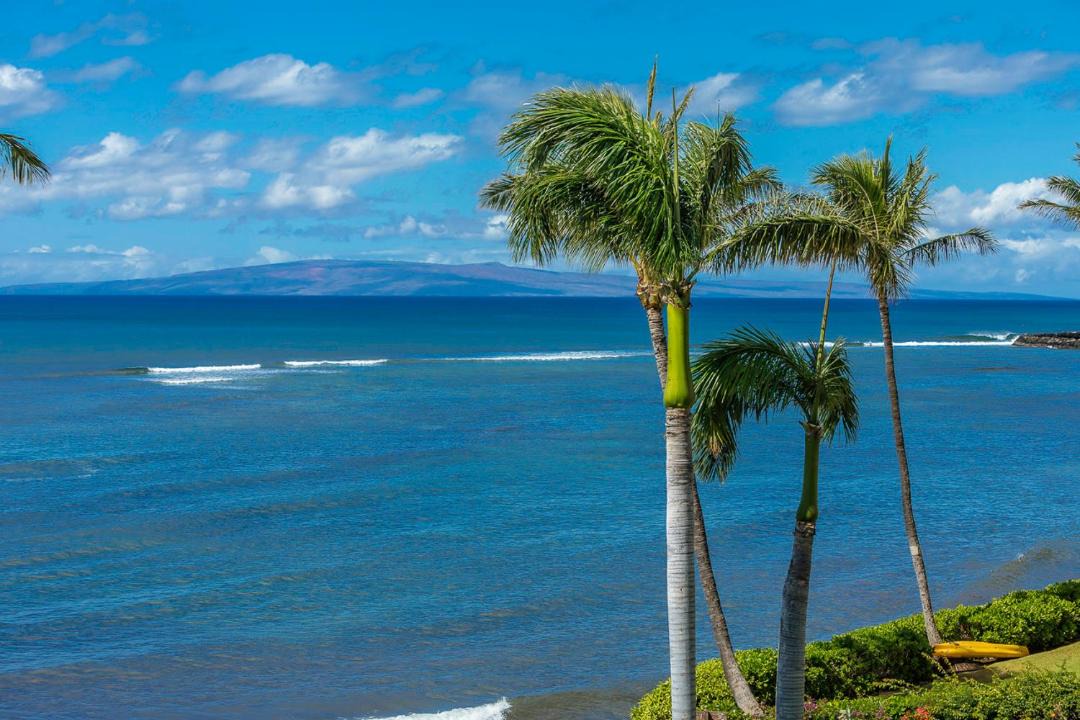 Photo of Others in Maalaea