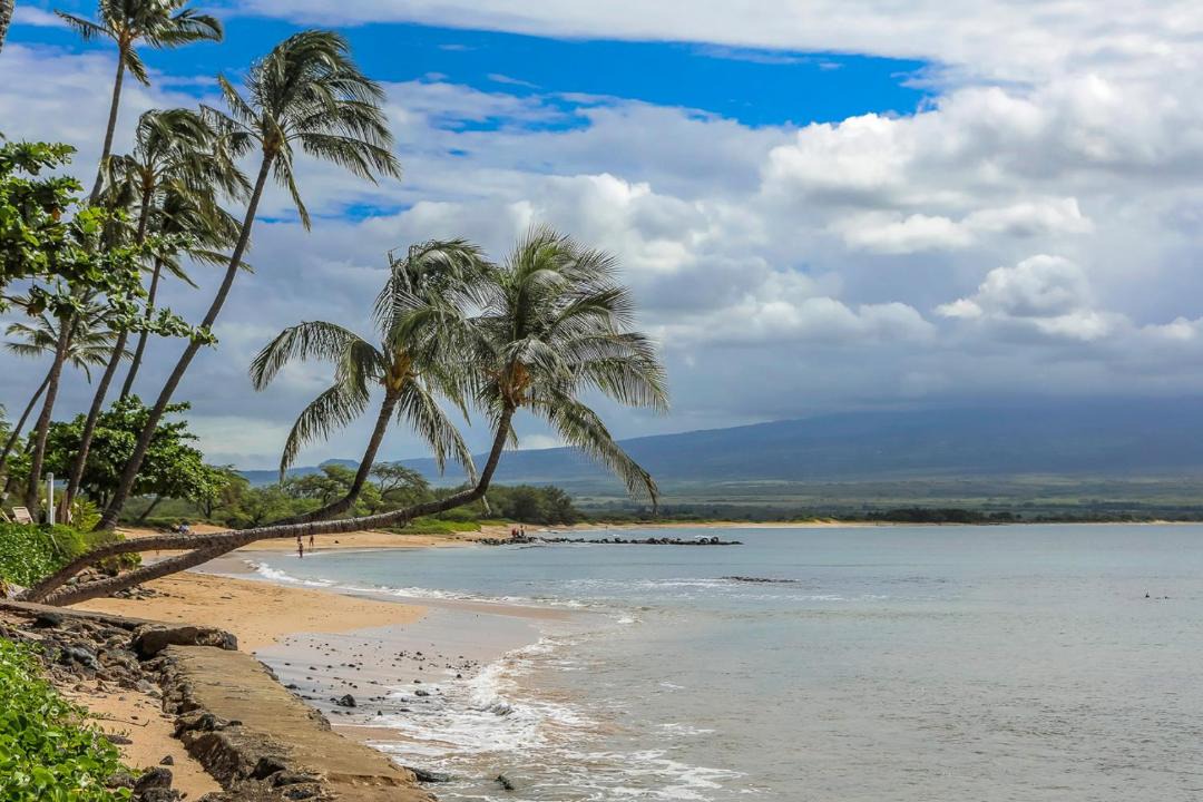 Photo of Others in Maalaea