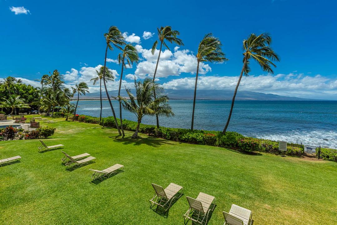 Photo of Others in Maalaea