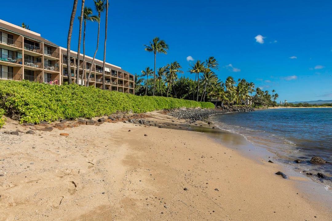 Photo of Others in Maalaea