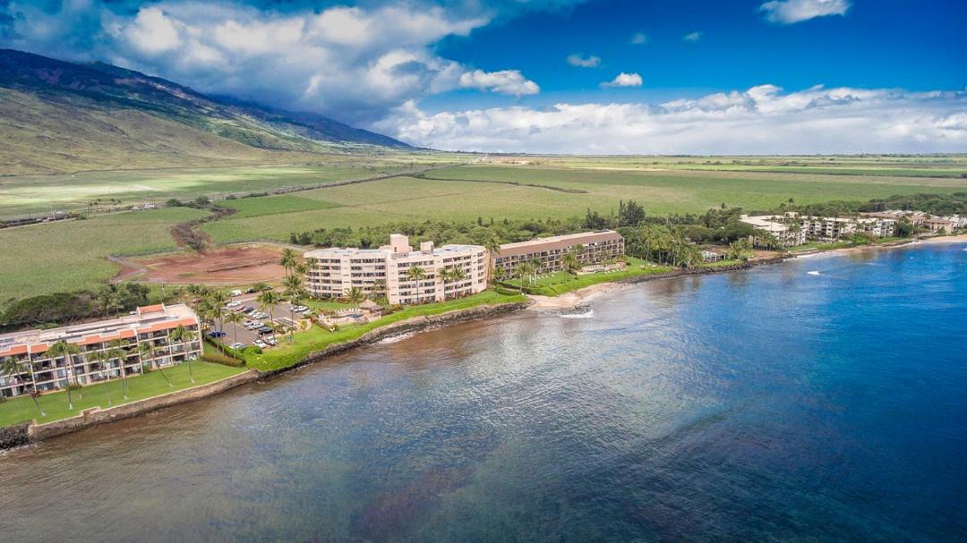 Photo of Others in Maalaea
