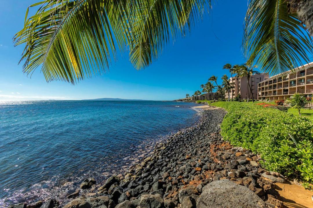 Photo of Others in Maalaea