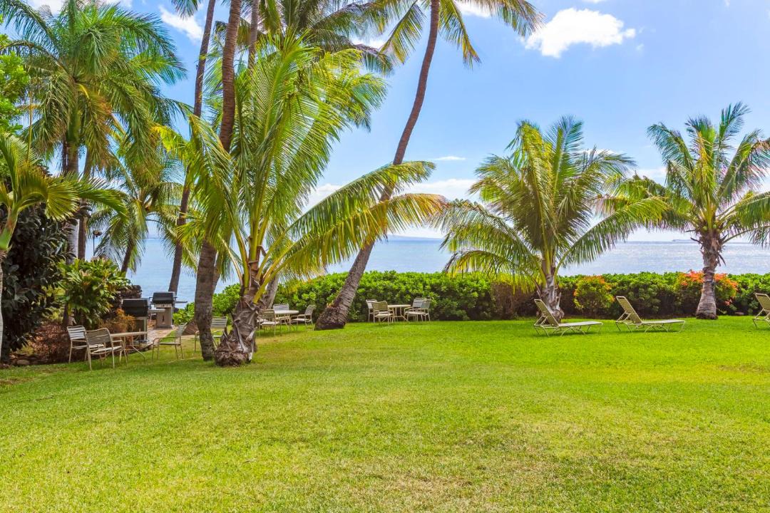 Photo of Others in Maalaea
