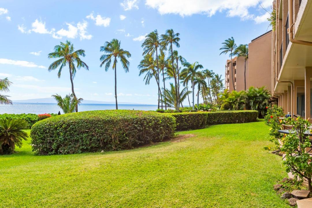 Photo of Others in Maalaea